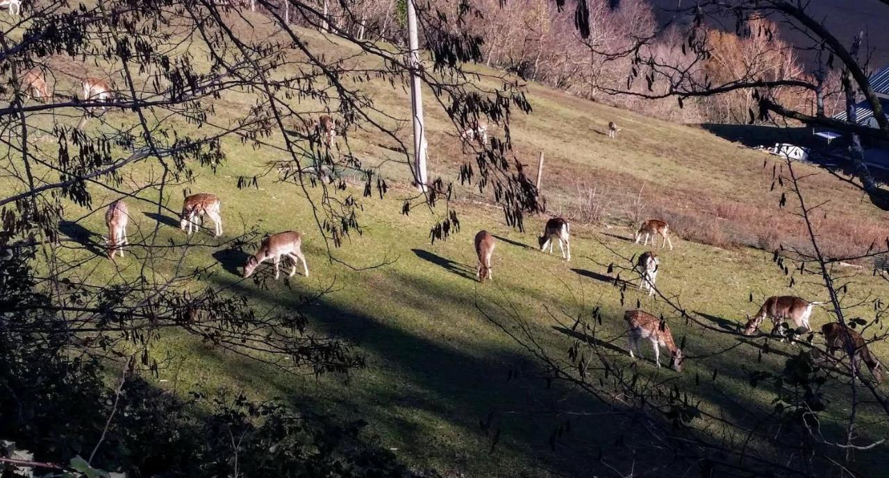 B&B Marcantonio Country House Sogliano al Rubicone Eksteriør bilde