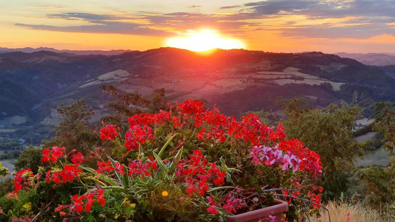 B&B Marcantonio Country House Sogliano al Rubicone Eksteriør bilde